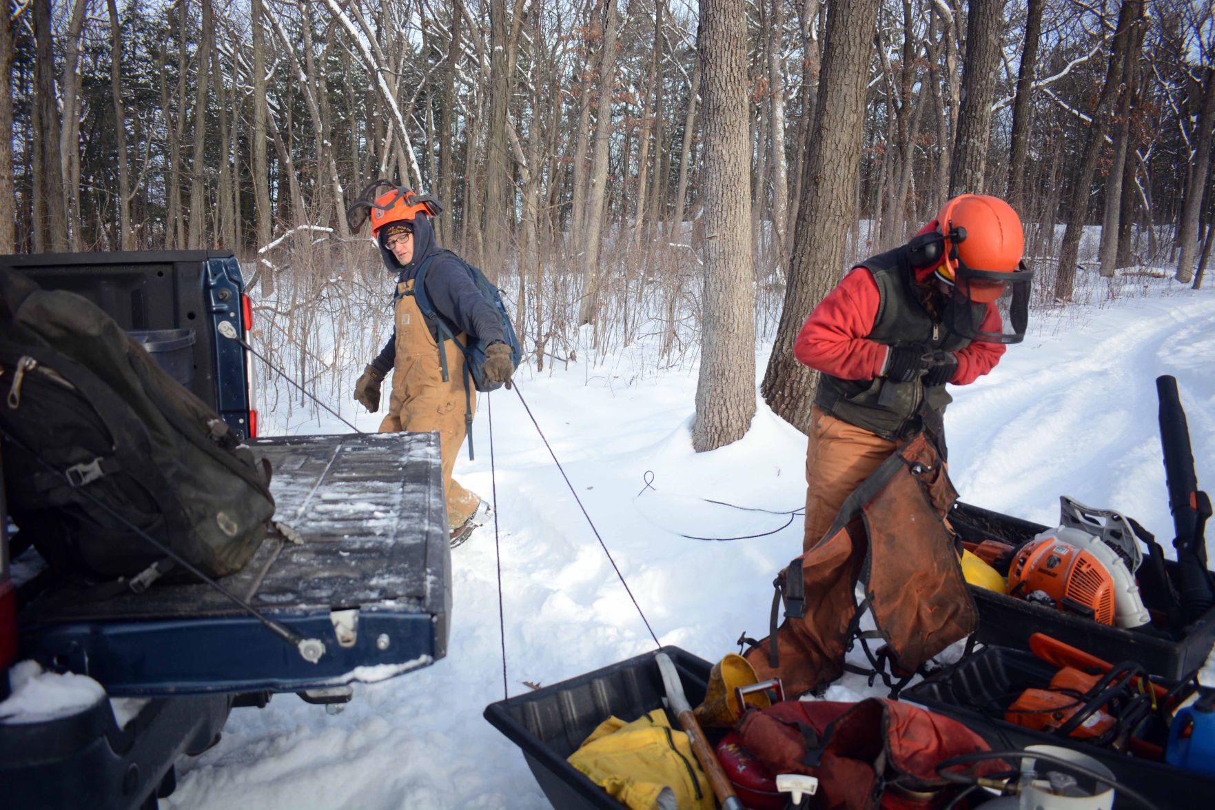 Devil's Lake east bluff stewardship work